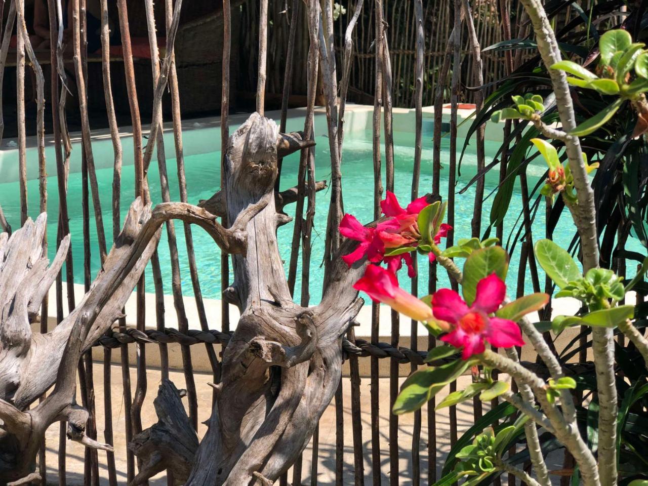 Zawadi Residence Watamu Εξωτερικό φωτογραφία